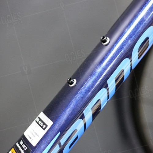synapse carbon tiagra