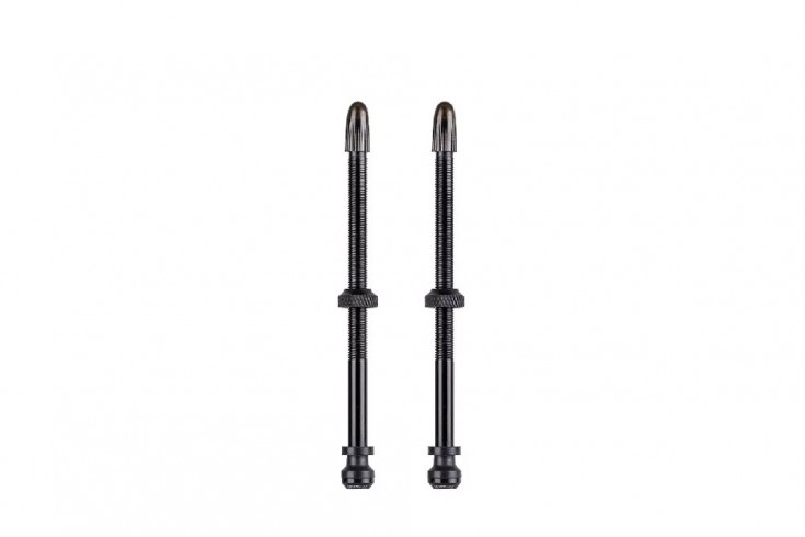 -Schwalbe