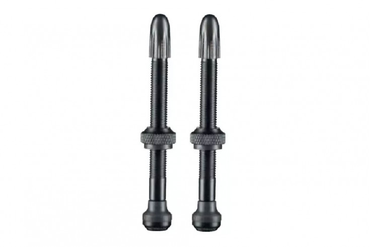 -Schwalbe