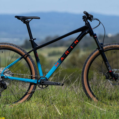 Marin-Bobcat Trail 5