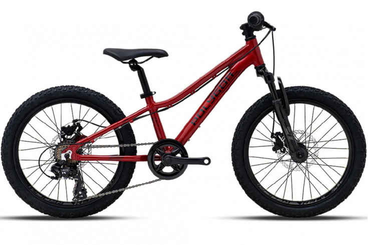 Изображение-Велосипед Polygon Relic 20 Polygon-Relic 20